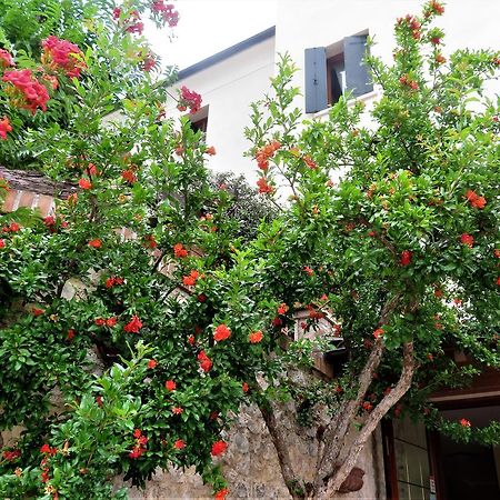 Locanda Alla Posta Borso del Grappa Luaran gambar