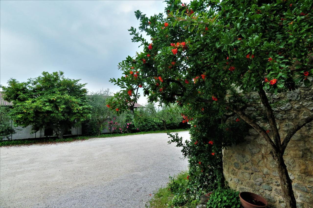 Locanda Alla Posta Borso del Grappa Luaran gambar